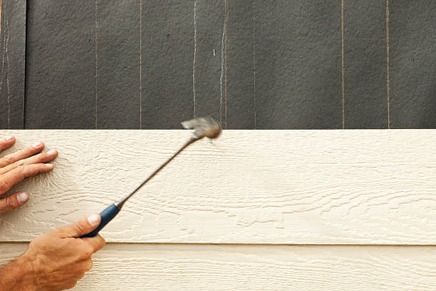 Best Custom Trim and Detailing for Siding  in Lincoln, CA